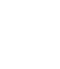 program